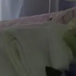 Dimora Fraula Panzió Agrigento